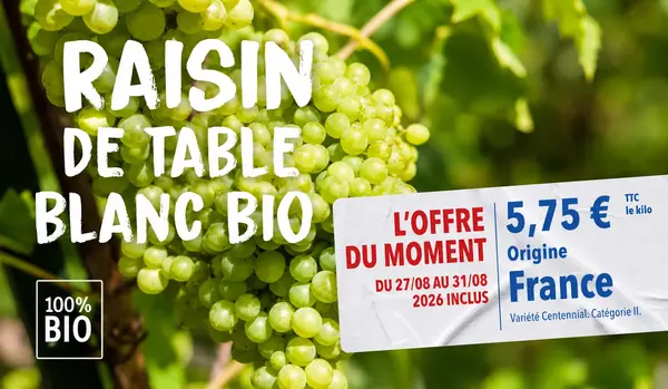 Raisin blanc sans pépins bio à 5,75 € le kilo